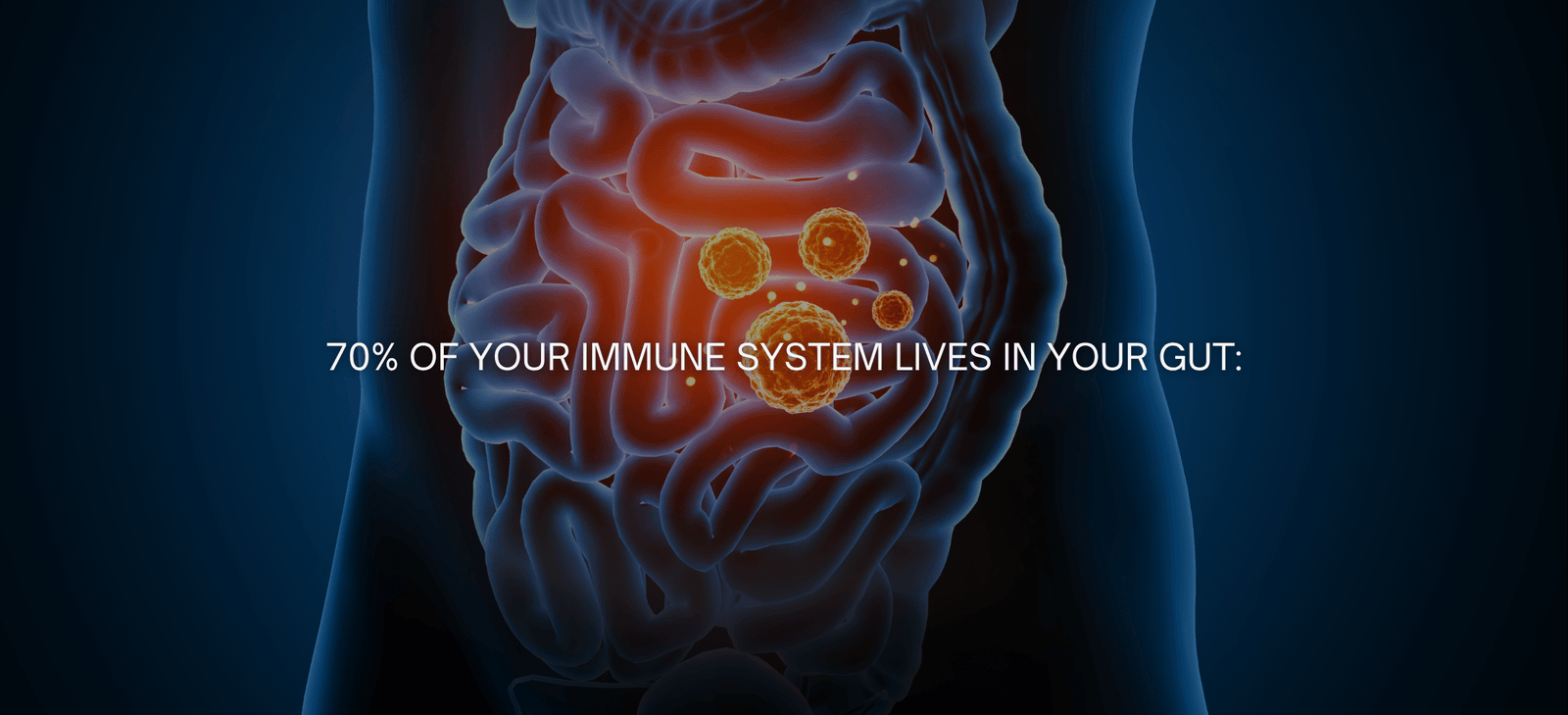 Gut Health